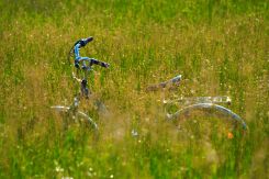 Bicikli a fűben